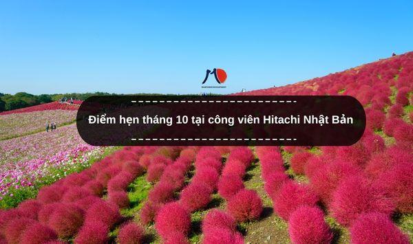 Điểm hẹn tháng10 tại công viên Hitachi Nhật Bản