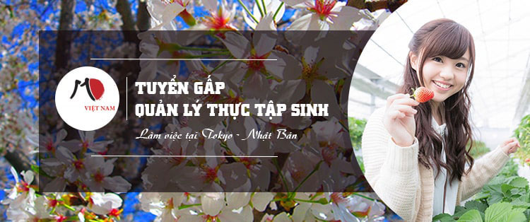 Tuyển dụng quản lý thực tập sinh làm việc tại Nhật Bản