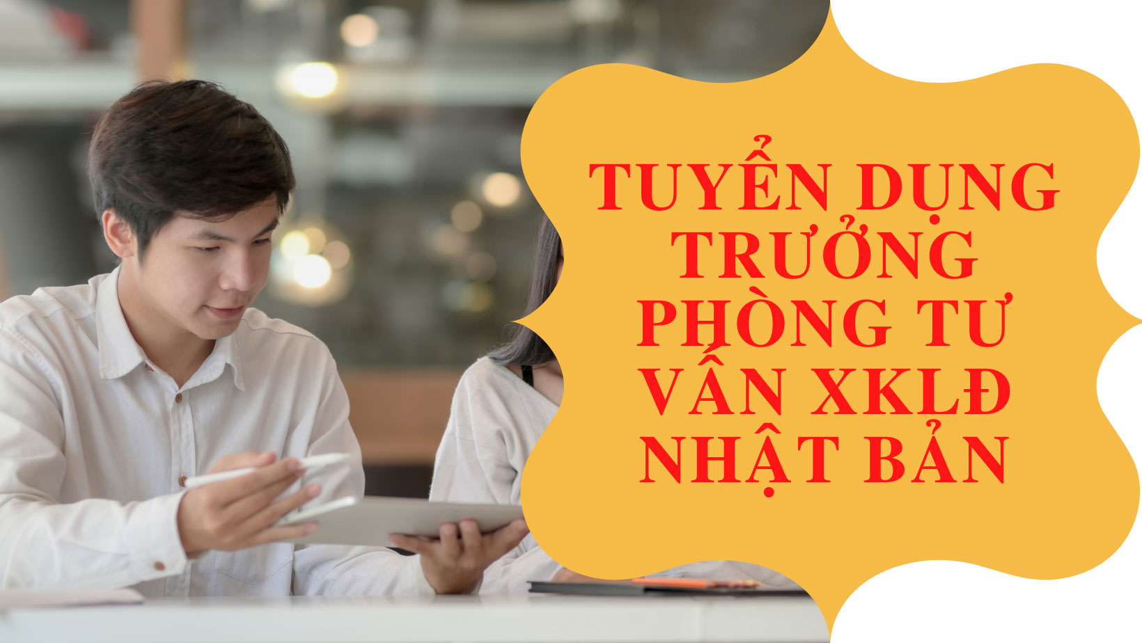 Tuyển dụng Trưởng phòng tư vấn XKLĐ Nhật Bản làm việc tại Hà Nội