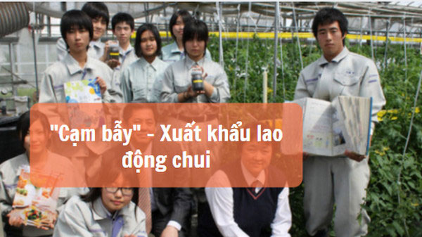 Cạm bẫy mang tên Xuất khẩu lao động chui