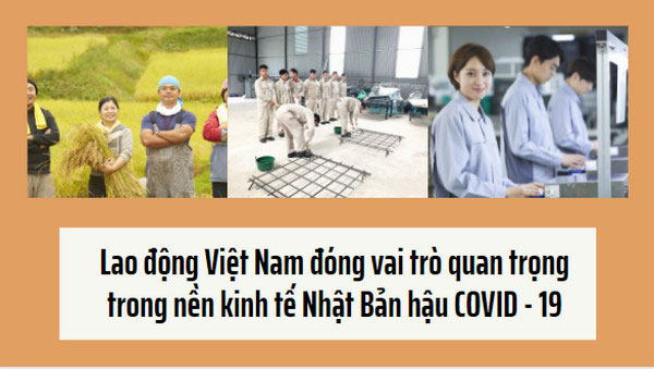 Lao động Việt Nam đóng vai trò quan trọng trong nền kinh tế Nhật Bản hậu COVID - 19