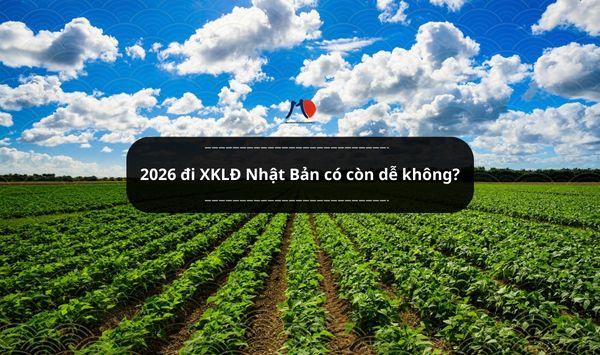 Trả lời câu hỏi: 2026 đi XKLĐ Nhật Bản có còn dễ không?