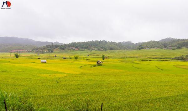 6-ly-do-lao-dong-yen-bai-nen-di-xuat-khau-lao-dong-nhat-ngay-thoi-diem-hien-tai-3.jpg