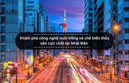 Bạn có chọn đi xuất khẩu lao động Nhật Bản khi biết 9 sự thật kinh hoàng này?