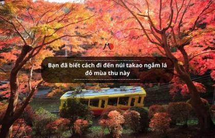 Bạn đã biết cách đi đến núi takao ngắm lá đỏ mùa thu này