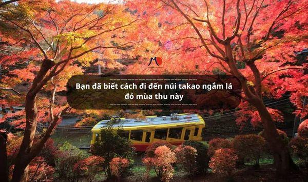 Bạn đã biết cách đi đến núi takao ngắm lá đỏ mùa thu này