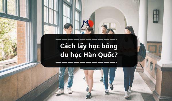 Cách lấy học bổng du học Hàn Quốc? Cần chuẩn bị những gì?