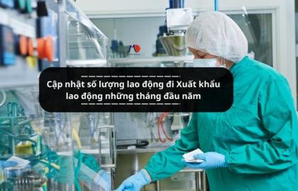 Cập nhật số lượng lao động đi Xuất khẩu lao động những tháng đầu năm