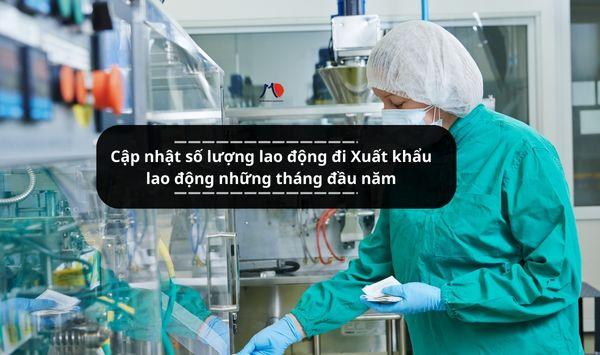 Cập nhật số lượng lao động đi Xuất khẩu lao động những tháng đầu năm