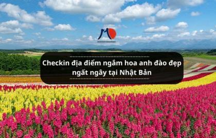 Checkin địa điểm ngắm hoa anh đào đẹp ngất ngây tại Nhật Bản