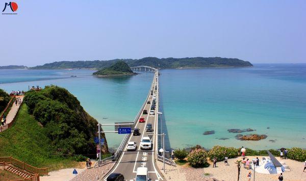 chiba-nhat-ban-noi-tap-trung-cac-don-hang-thuy-san-tot-nhat-1.jpg