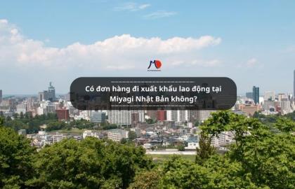 Có đơn hàng đi xuất khẩu lao động tại Miyagi Nhật Bản không?