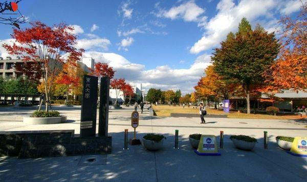dai-hoc-tohoku-2.jpg