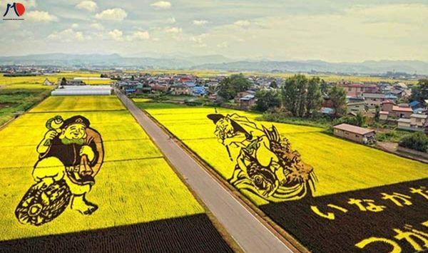 den-nhat-ban-chiem-nguong-nghe-thuat-tanbo-tren-canh-dong-lua-2.jpg