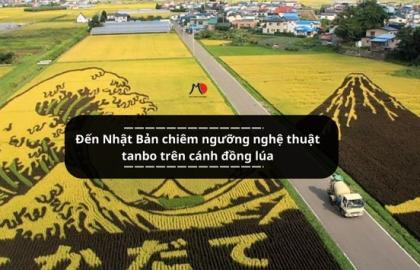 Đến Nhật Bản chiêm ngưỡng nghệ thuật tanbo trên cánh đồng lúa