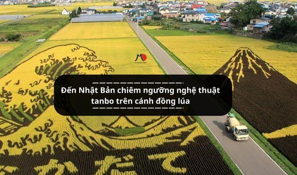 Đến Nhật Bản chiêm ngưỡng nghệ thuật tanbo trên cánh đồng lúa