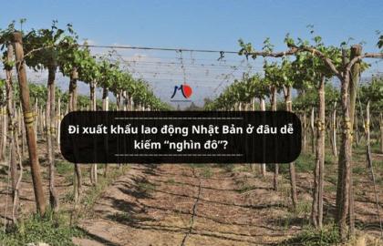 Đi xuất khẩu lao động Nhật Bản ở đâu dễ kiếm “nghìn đô”?