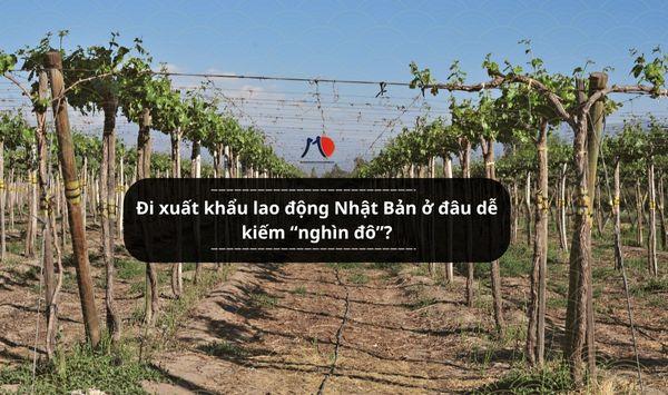 Đi xuất khẩu lao động Nhật Bản ở đâu dễ kiếm “nghìn đô”?