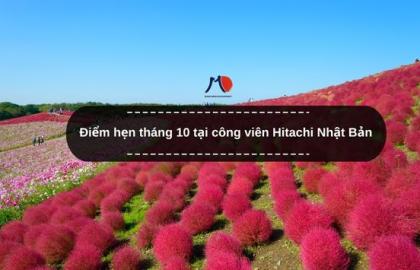 Điểm hẹn tháng10 tại công viên Hitachi Nhật Bản