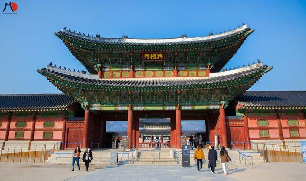 du-hoc-nganh-du-lich-tai-han-quoc-hoc-gi-6.jpg
