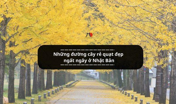 Những đường cây rẻ quạt đẹp ngất ngây ở Nhật Bản
