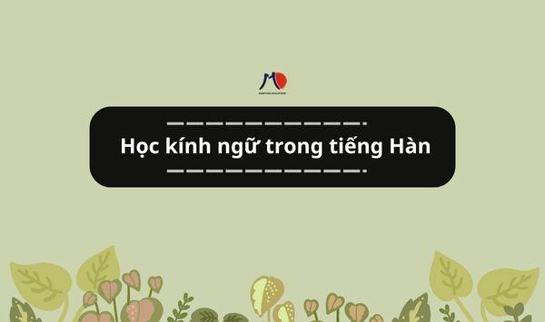 Học kính ngữ trong tiếng Hàn - Cách sử dụng kính ngữ