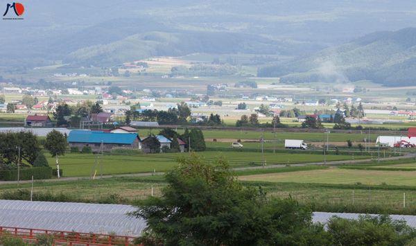 hokkaido-noi-tap-trung-cac-don-hang-nong-nghiep-xkld-nhat-ban-2.jpg