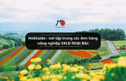 Hokkaido - nơi tập trung các đơn hàng nông nghiệp XKLĐ Nhật Bản
