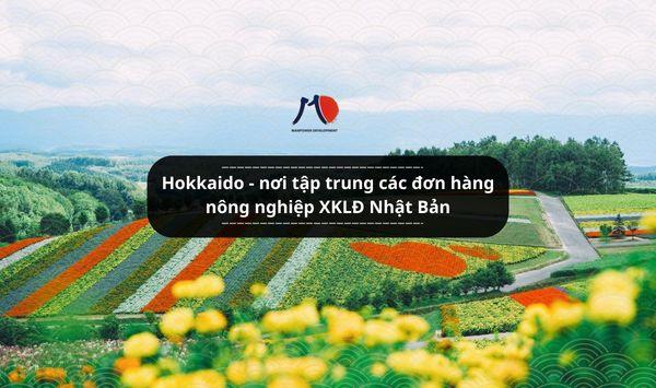 Hokkaido - nơi tập trung các đơn hàng nông nghiệp XKLĐ Nhật Bản