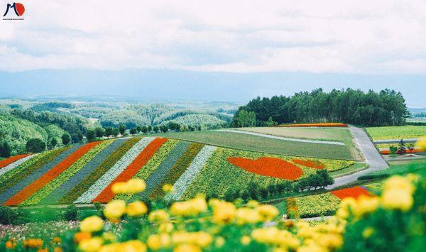hokkaido-noi-tap-trung-cac-don-hang-nong-nghiep-xkld-nhat-ban-4.jpg