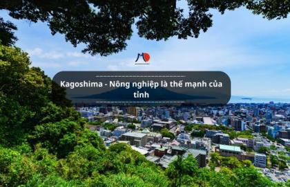Kagoshima - Nông nghiệp là thế mạnh của tỉnh