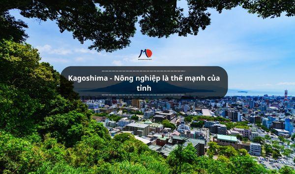 Kagoshima - Nông nghiệp là thế mạnh của tỉnh