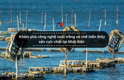 Khám phá công nghệ nuôi trồng và chế biến thủy sản cực chất tại Nhật Bản