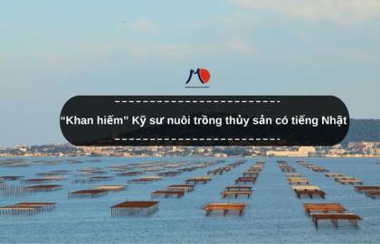 “Khan hiếm” Kỹ sư nuôi trồng thủy sản có tiếng Nhật