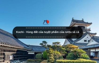 Kochi - Vùng đất của tuyệt phẩm của rượu và cá