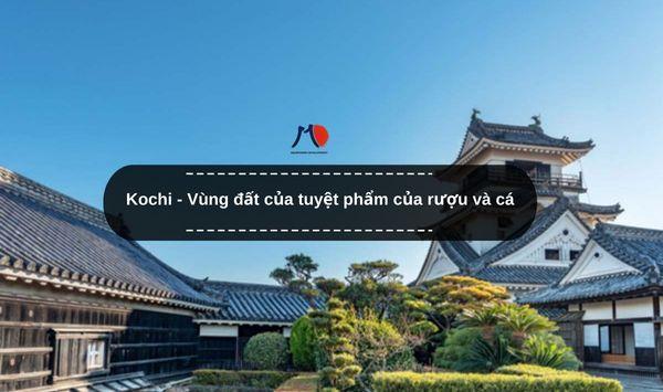 Kochi - Vùng đất của tuyệt phẩm của rượu và cá