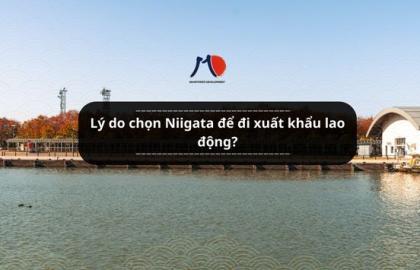 Lý do chọn Niigata để đi xuất khẩu lao động?
