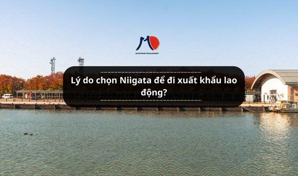 Lý do chọn Niigata để đi xuất khẩu lao động?