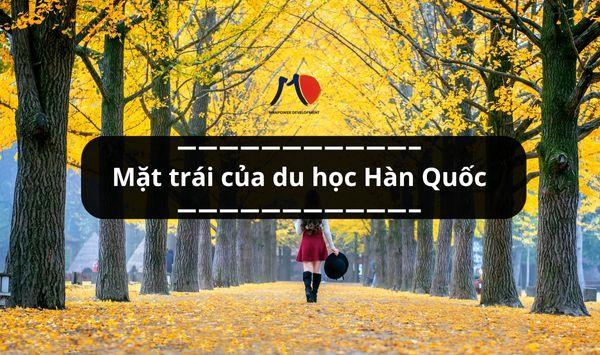 Mặt trái du học Hàn Quốc mà bạn cần phải biết? Cách phòng tránh
