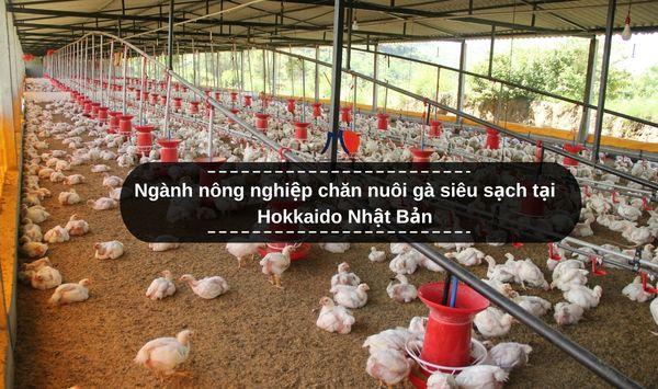 Đã mắt ngành nông nghiệp chăn nuôi gà siêu sạch tại Hokkaido Nhật Bản