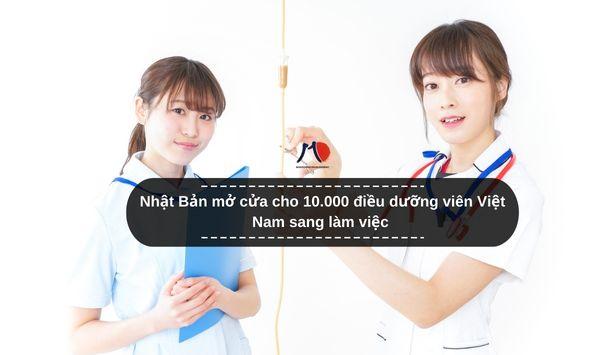 Nhật Bản mở cửa cho 10.000 điều dưỡng viên Việt Nam sang làm việc