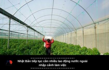 Nhật Bản tiếp tục cần nhiều lao động nước ngoài nhập cảnh làm việc