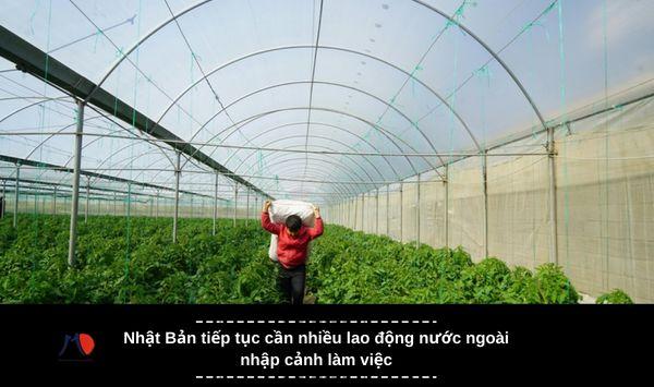 Nhật Bản tiếp tục cần nhiều lao động nước ngoài nhập cảnh làm việc