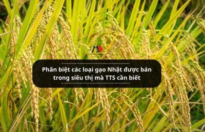 Phân biệt các loại gạo Nhật được bán trong siêu thị mà TTS cần biết