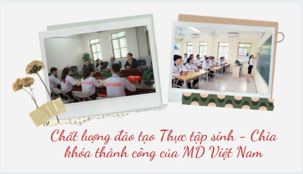 Chất lượng đào tạo Thực tập sinh - Chìa khóa thành công của MD Việt Nam