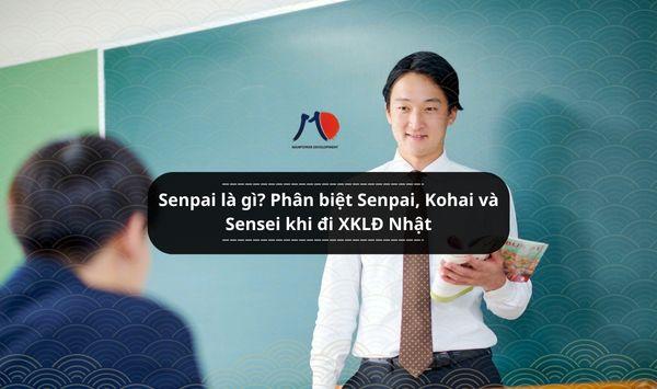 Senpai là gì? Phân biệt Senpai, Kohai và Sensei khi đi XKLĐ Nhật