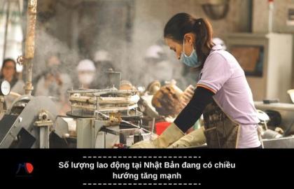 Số lượng lao động tại Nhật Bản đang có chiều hướng tăng mạnh