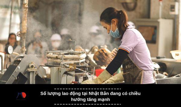 Số lượng lao động tại Nhật Bản đang có chiều hướng tăng mạnh