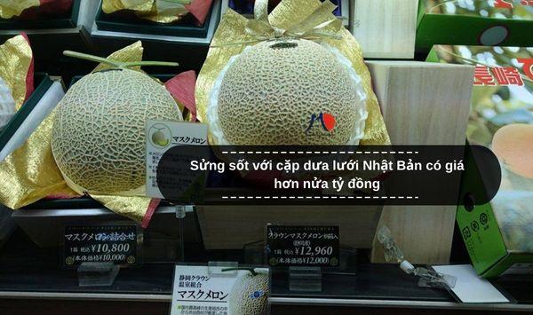 Sửng sốt với cặp dưa lưới Nhật Bản có giá hơn nửa tỷ đồng