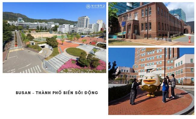 thanh-pho-du-hoc-han-quoc-2.jpg